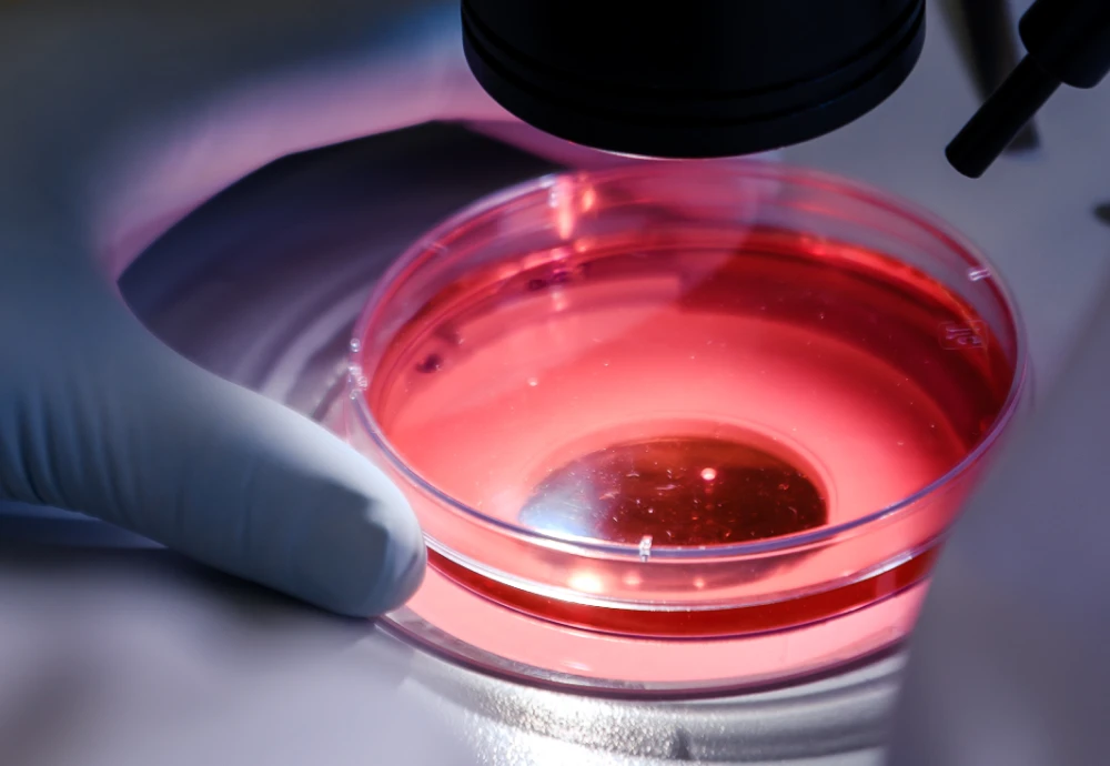 best digital microscope for classroom