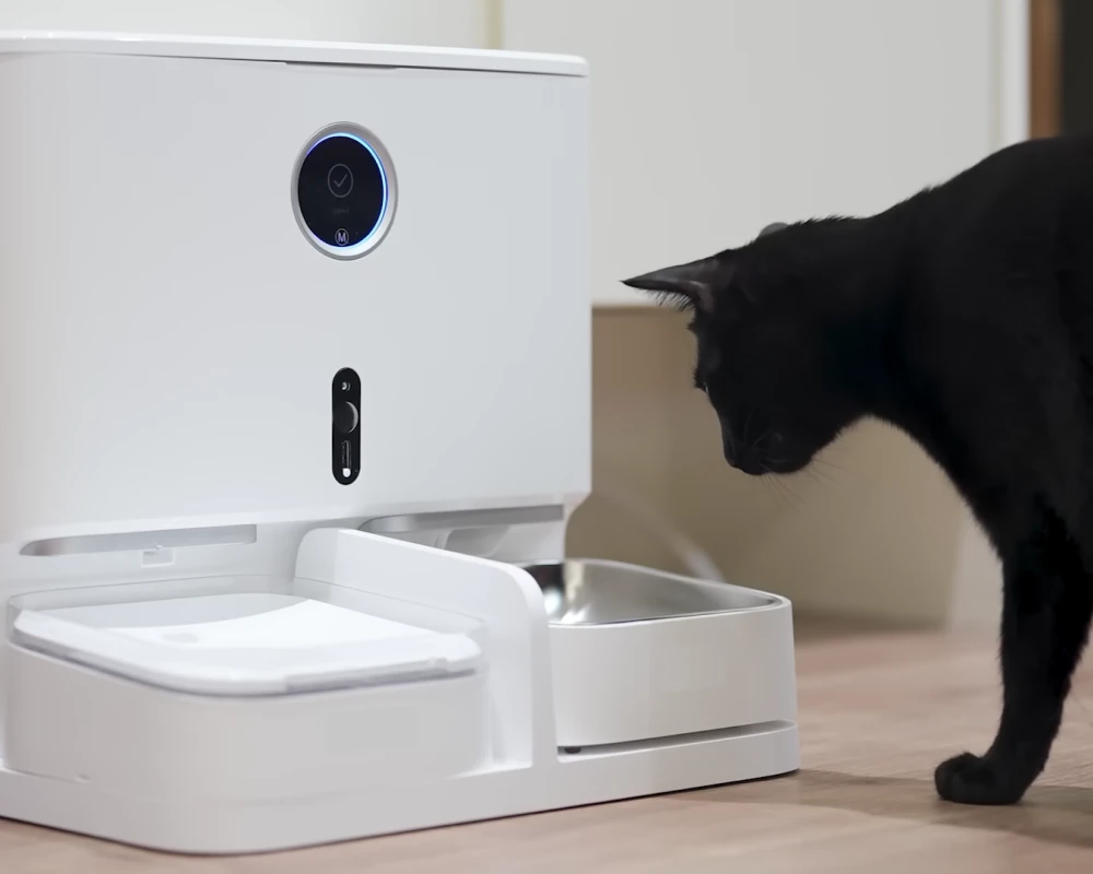 pet automatic water feeder